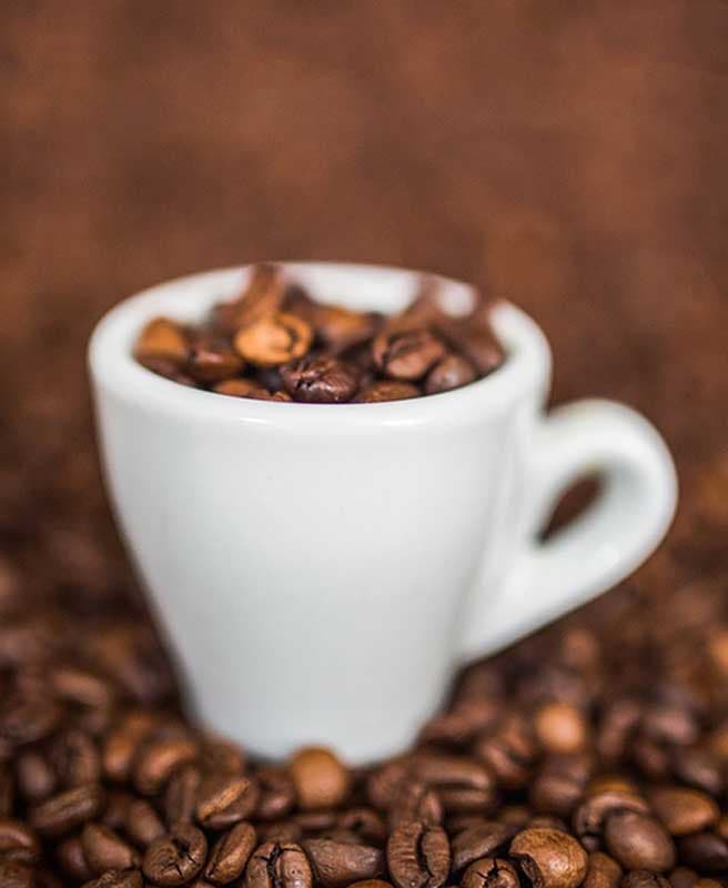 Bean-to-Cup Coffee Machines